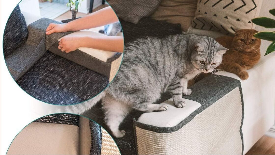 Arranhadores: solução para proteger móveis e promover bem-estar dos gatos