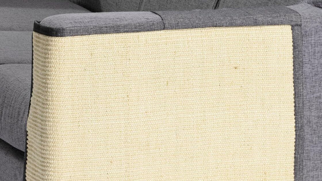 Arranhadores protegem o sofá e melhoram o bem-estar dos animais