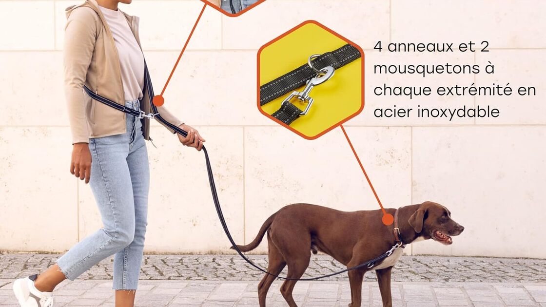 A trela funcional e prática permite usar em bandoleira e tem mosquetões de aço inoxidável.
