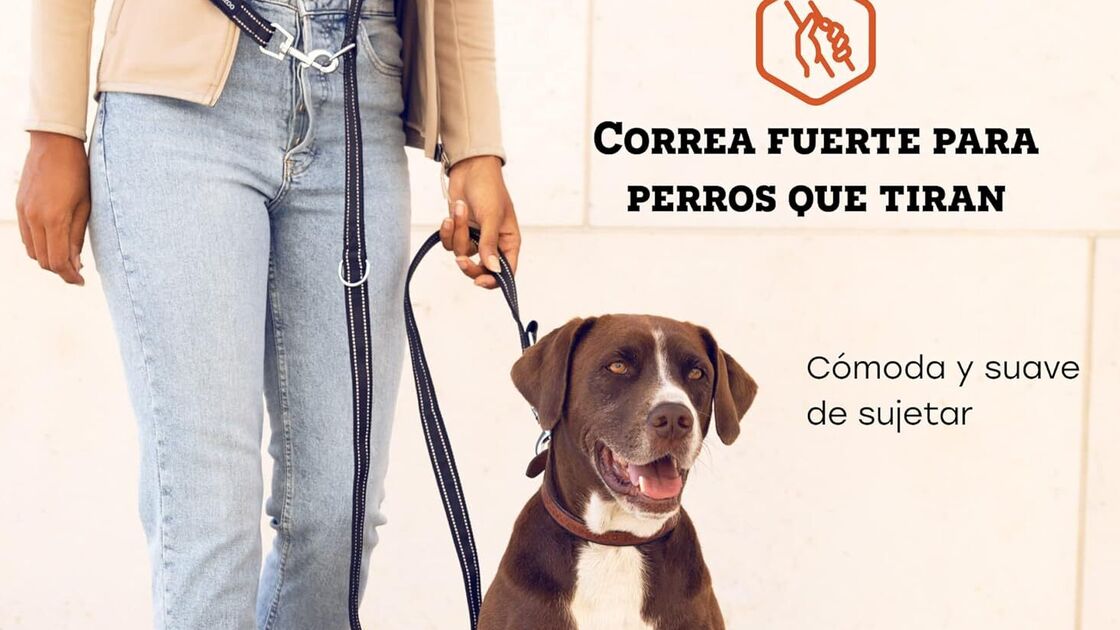 Trela resistente para cães que puxam, com pega suave e confortável
