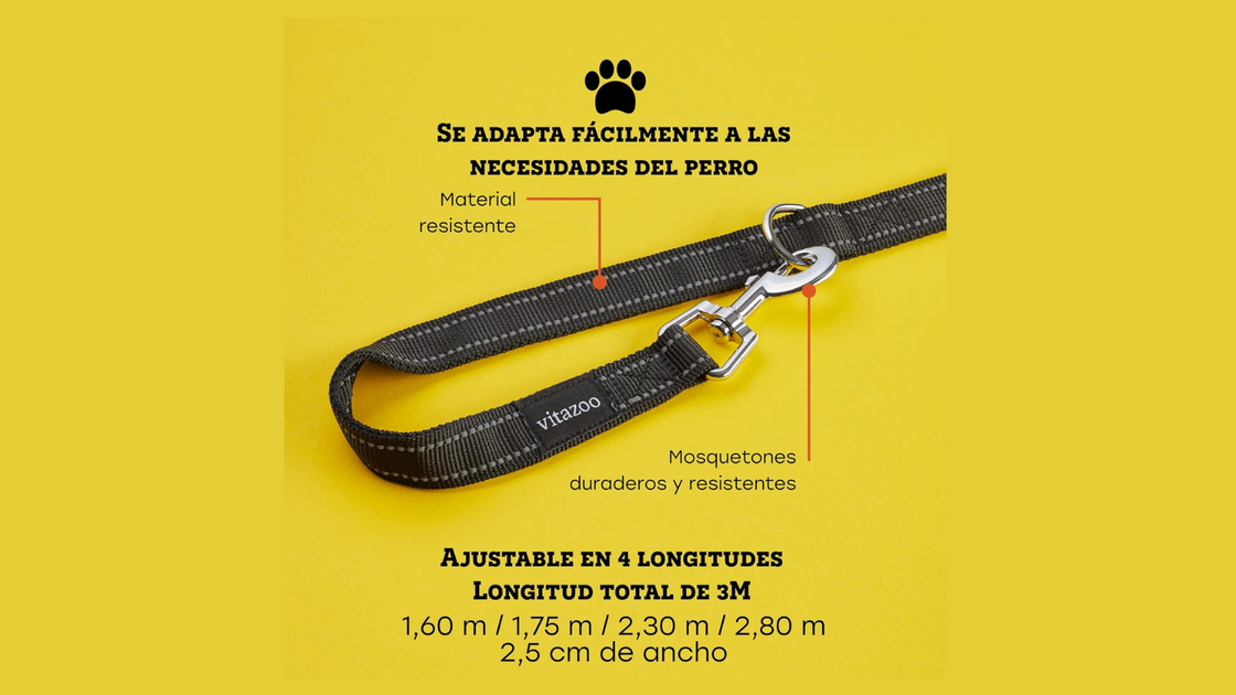 Trela ajustável adapta-se às necessidades do cão, com comprimento total de 3M