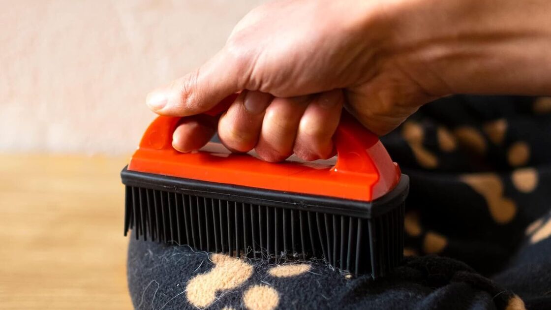 Limpeza de cama de animal de estimação com escova