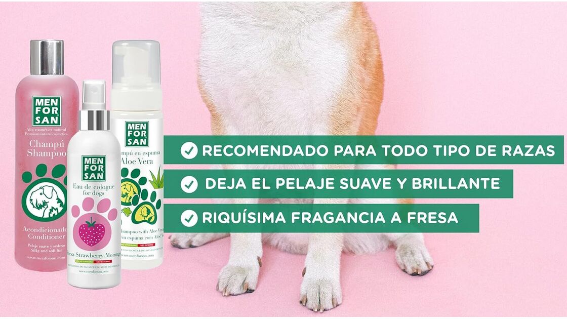 Higiene e bem-estar para o seu cão com este kit completo