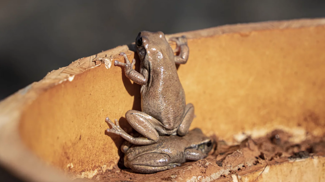 Andrew Mortimer with “The Shoulders of Giants”