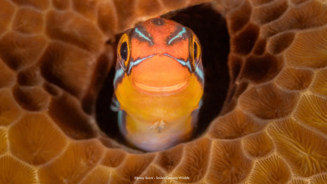 Jenny Stock with “Smiler”