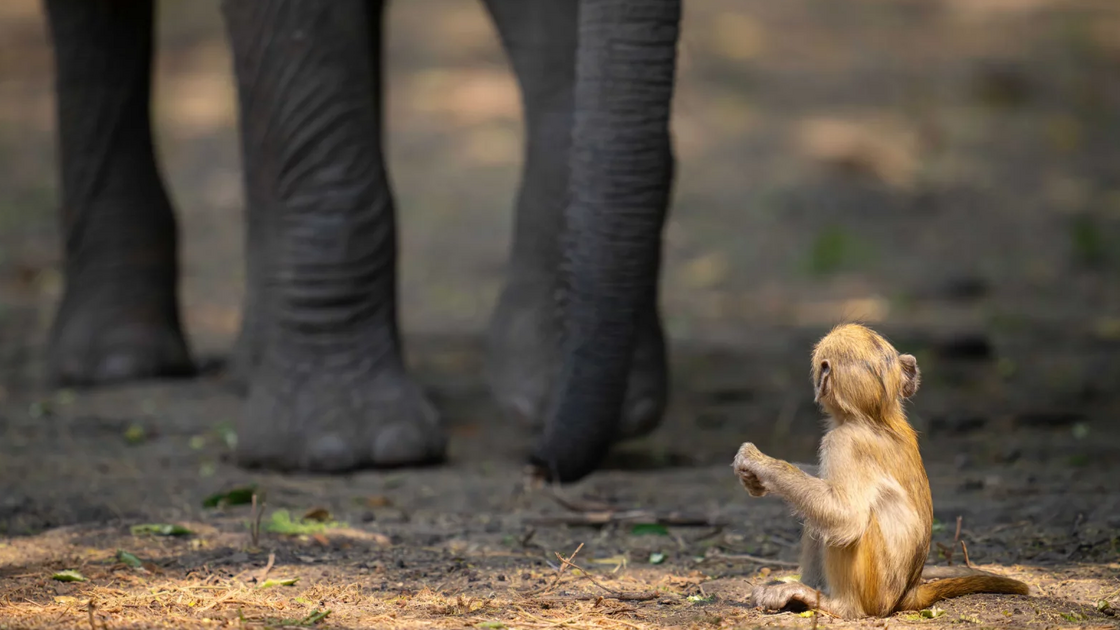 Laurent Nilles with “Oh my!”