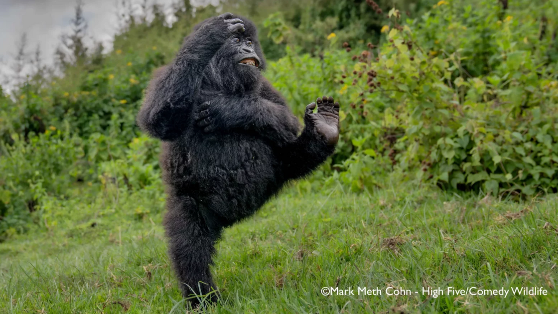 Mark Meth-Cohn with “High Five”