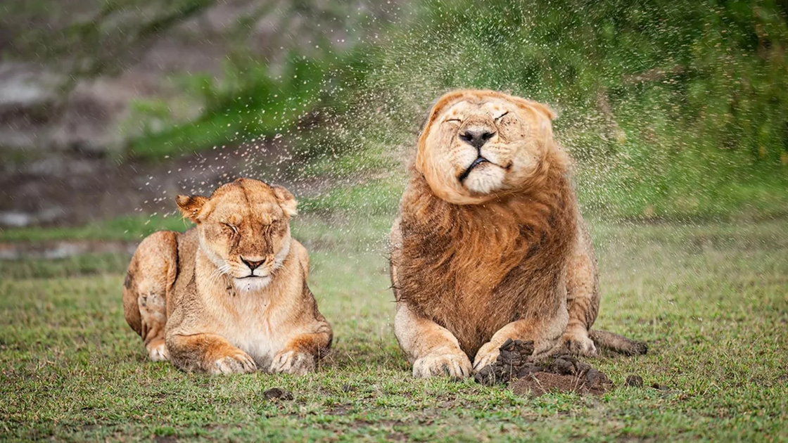 Massimo Felici with “Darling, please stop!”