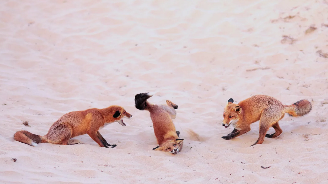 Paula Rustemeier with “Hit the dance floor!”