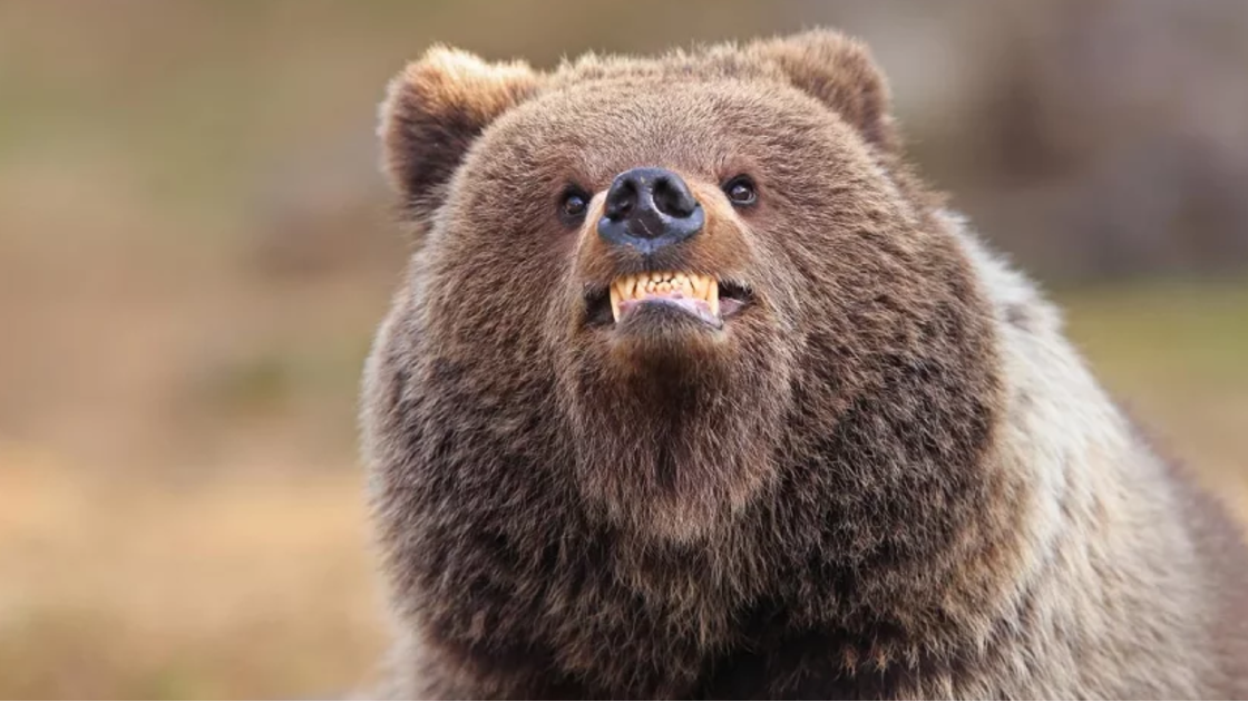 Valtteri Mulkahainen with “Smile, you're being photographed.”