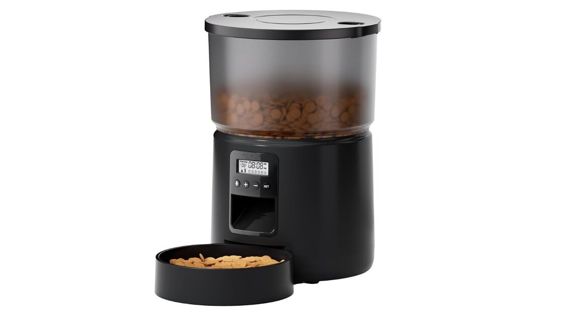 Alimentador automático para gatos garante comida fresca e zero stress