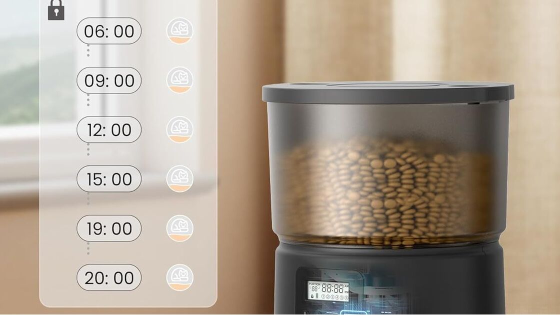 Alimentador automático para animais mantém as definições mesmo após falha de energia