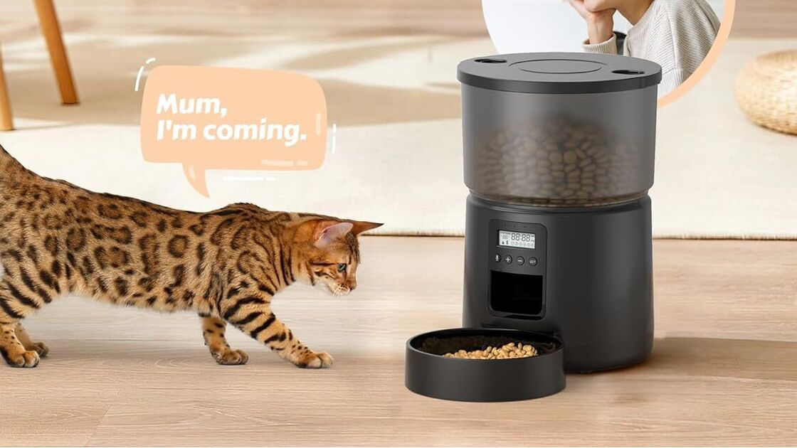 Alimentador automático para gatos permite voz customizada e garante refeições.
