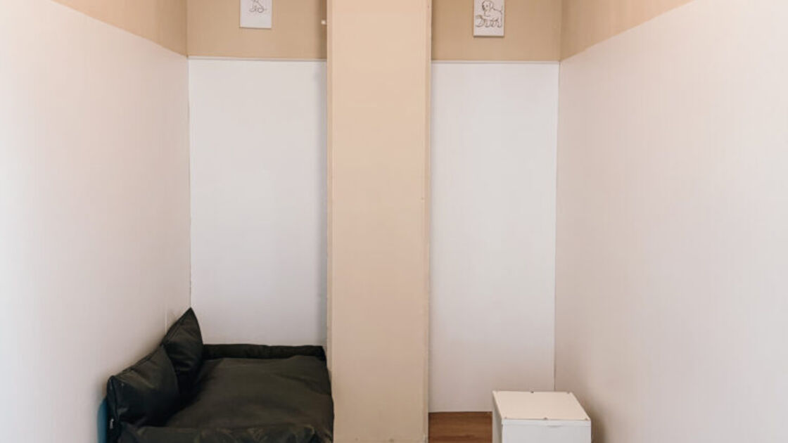 Hotel canino de luxo Dogga Residence abre no Porto com suítes privadas e tecnologia.
