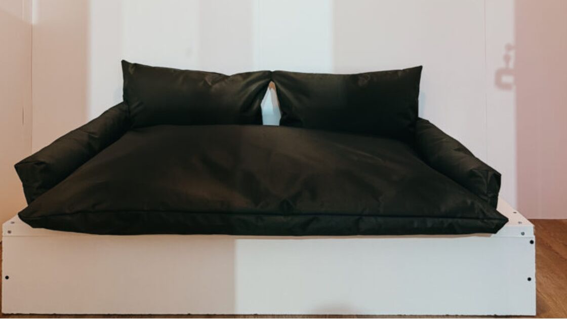 Hotel canino de luxo Dogga Residence, no Porto, tem suites privadas e tecnologia de leitura de emoções