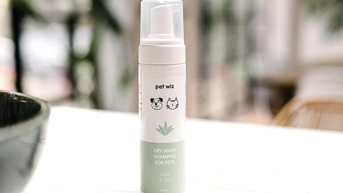 Champô seco Pet Wiz com aloe vera e aveia para manter os animais limpos e cheirosos