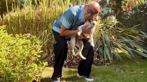 Manuel Luís Goucha apela à identificação de animais de companhia
