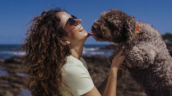 Lamber é sempre sinal de carinho? Descubra o que o seu cão quer comunicar através das lambidelas