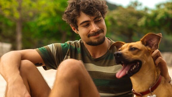 Brasil: Netflix lança campanha de adoção de cães após o sucesso do filme 