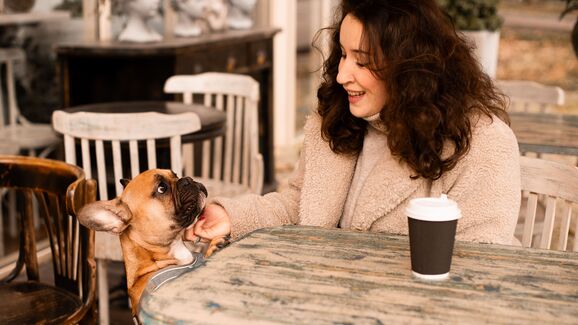 Há um novo espaço 'pet-friendly' em Leiria. Conheça o Monge Pet Café