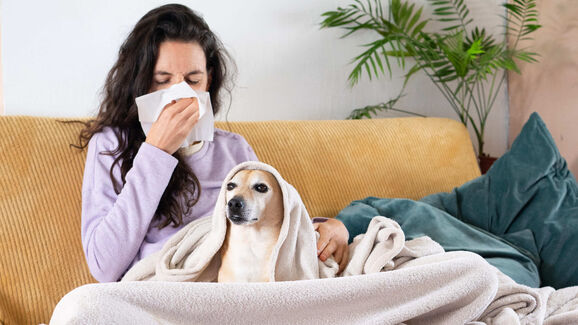 Constipações caninas e felinas: mito ou verdade? Descubra aqui