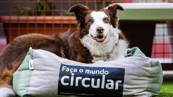 Camas para cães feitas com fardas do Metro de Lisboa no programa 'Faça o Mundo Circular'