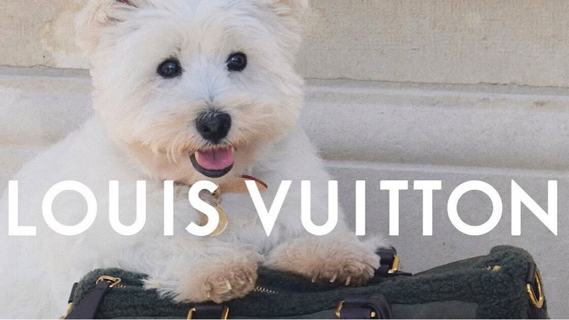 Campanha Louis Vuitton de primavera/verão destaca os patudos.
