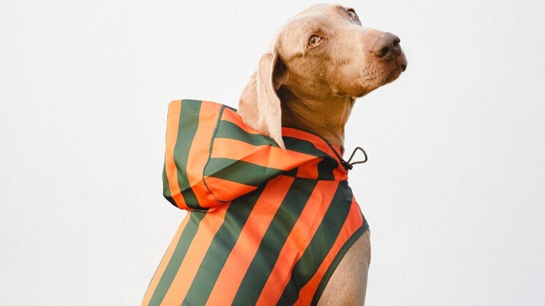 Coleção Pet Parfois