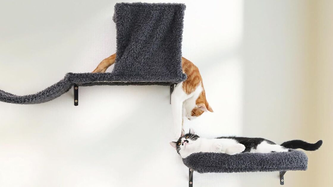 Materiais seguros para uso despreocupado, com tábua multicamada e tela premium