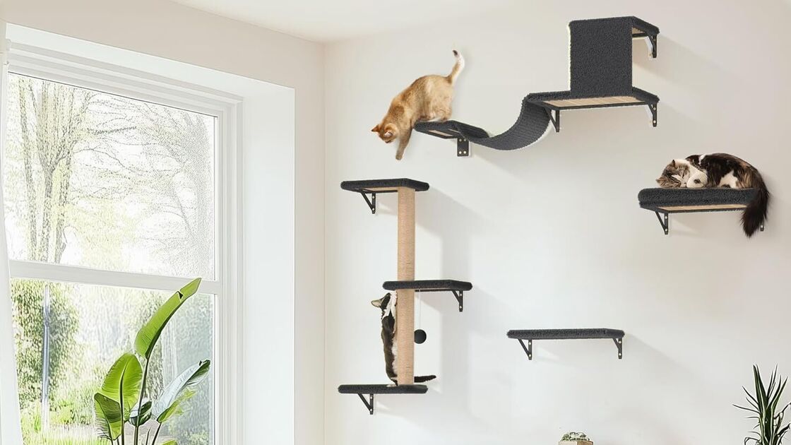 Mobiliário de parede para gatos: um refúgio lúdico para brincar.
