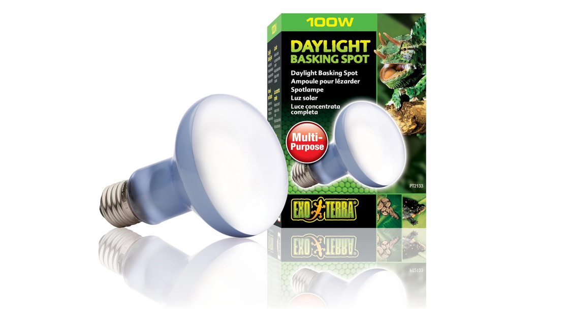 Lâmpada Exo Terra de 100W para iluminação diurna e aquecimento de terrários