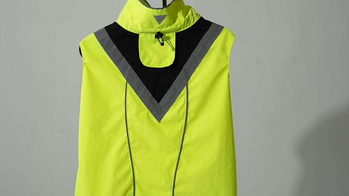 Colete reflector para cães: segurança e estilo para o seu melhor amigo