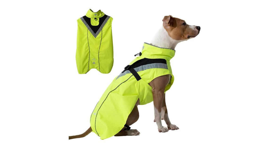 Cão com capa de chuva amarela para proteção e segurança