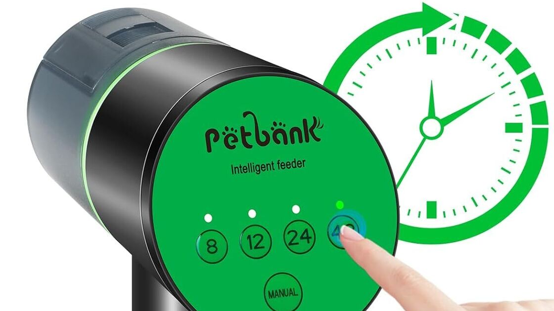 Alimentador inteligente com intervalos programáveis de 8 a 48 horas
