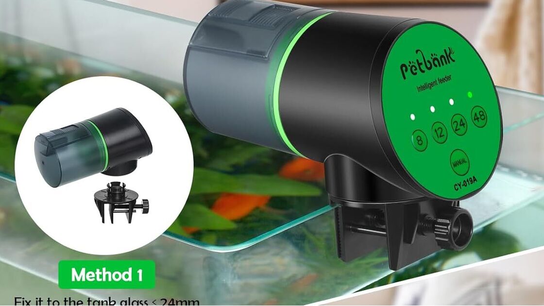 Alimentador automático para aquários com instalação fácil e diferentes métodos
