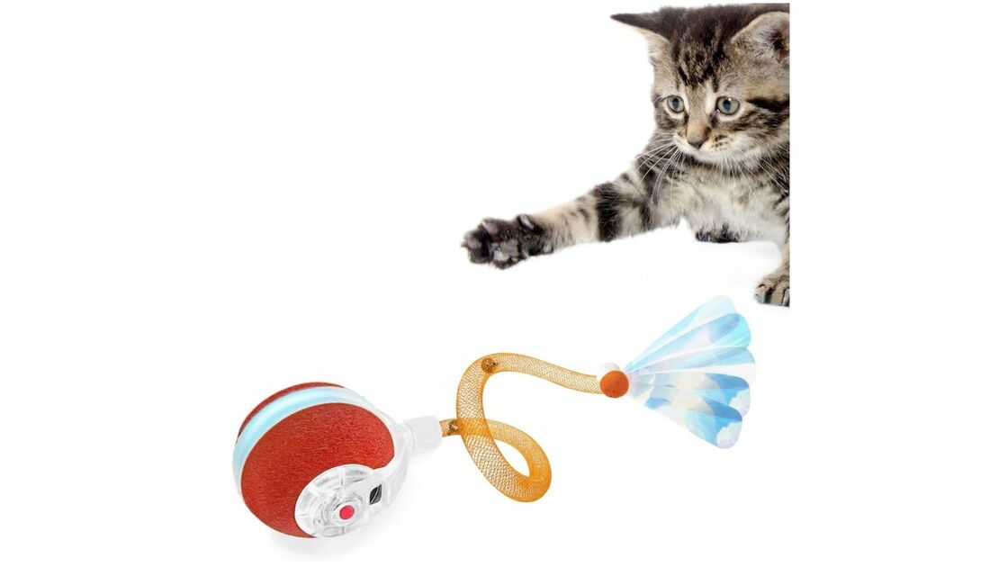 Gato brinca com brinquedo para estimular atividade e reduzir o tédio