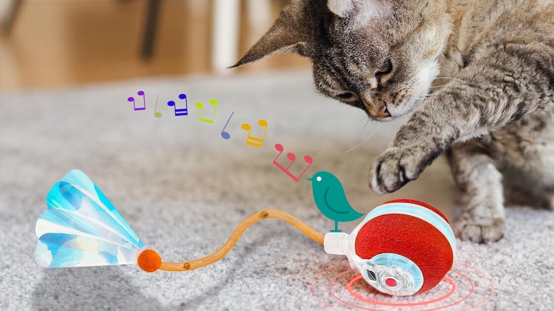 Gato explora brinquedo interativo que liga com toque e desliga após 3 minutos.
