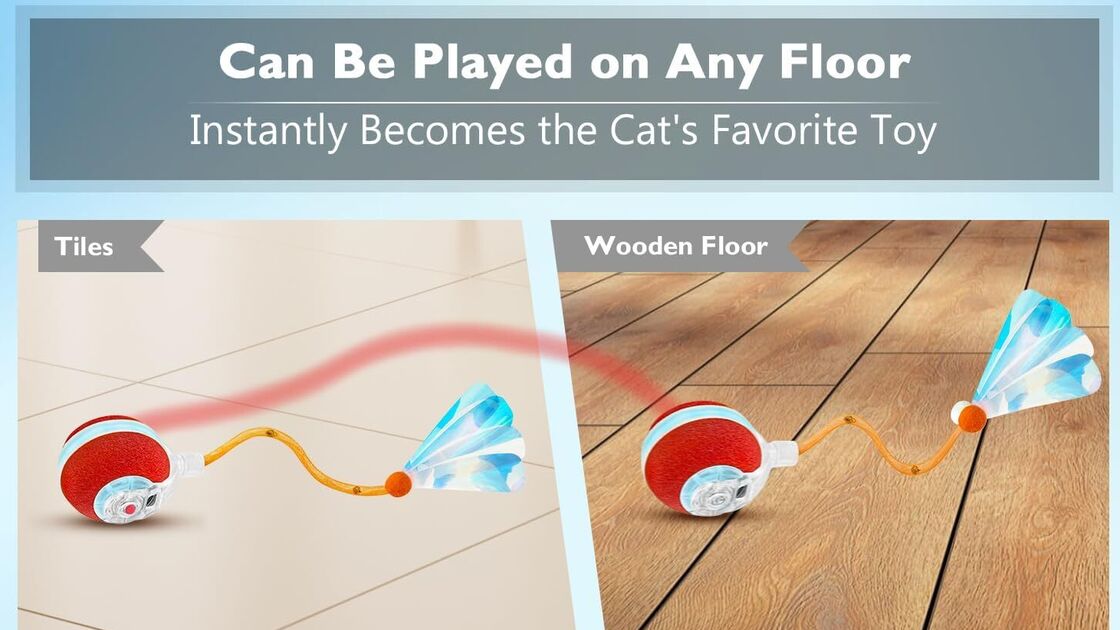 Este brinquedo funciona em qualquer piso e torna-se o favorito do seu gato