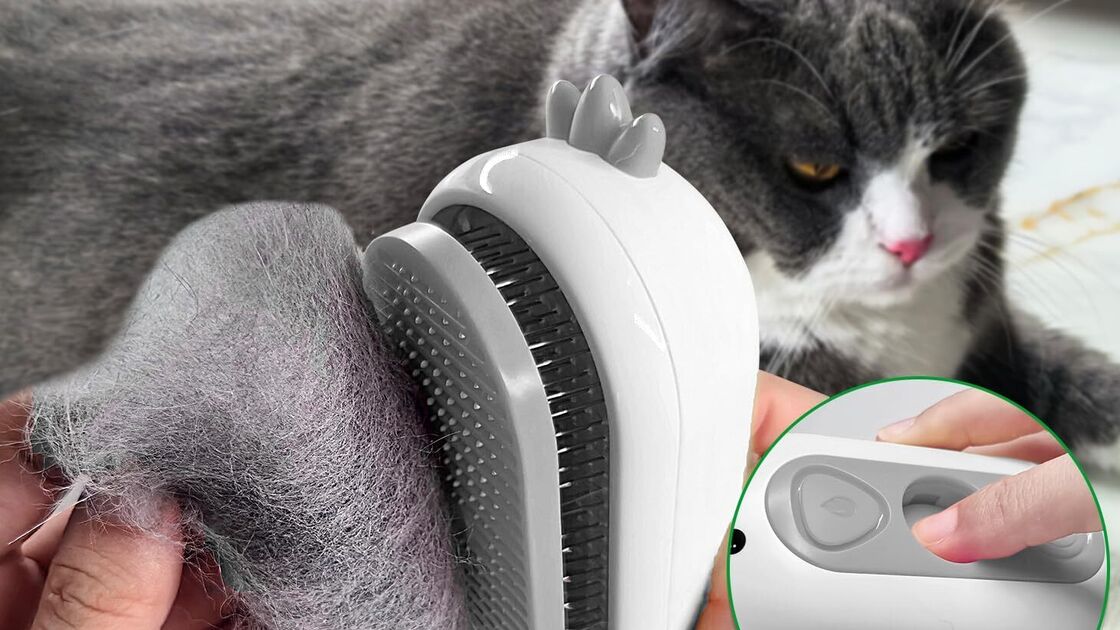 Escova de vapor autolimpável para eliminar o pelo caído