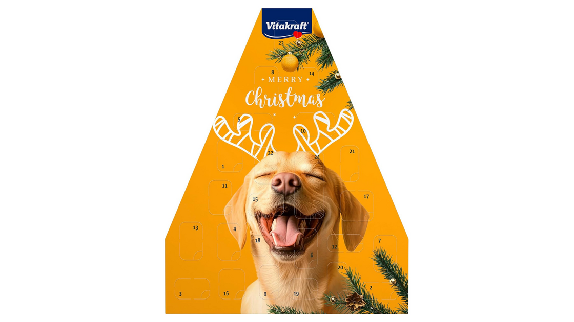 Calendário de Natal Vitakraft com cão sorridente e decoração festiva.
