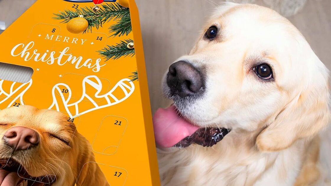 Calendário do Advento Vitakraft promete um Natal alegre para cães