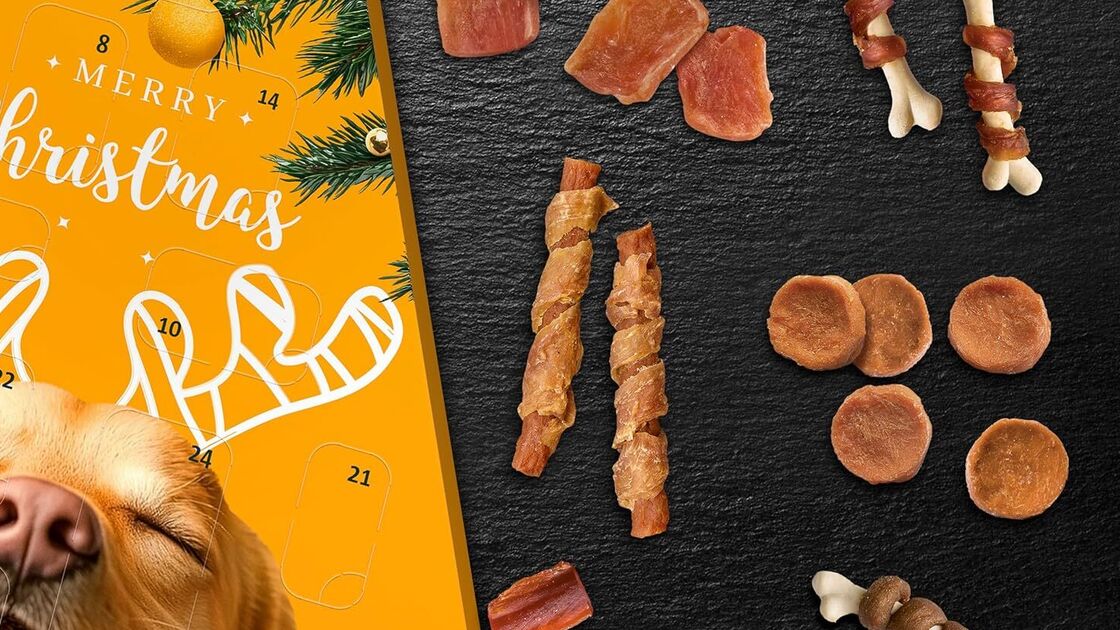 Calendário de advento Vitakraft com guloseimas para cães, alusivo ao Natal