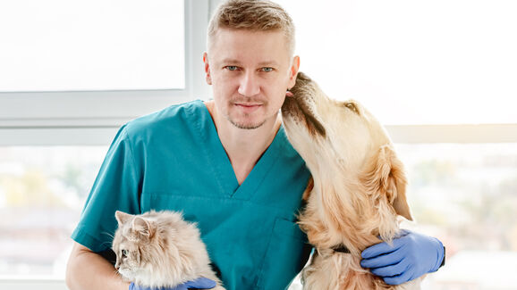 Fim das diferenças! Ordem dos Veterinários pede IVA a 6% para animais de companhia e de produção