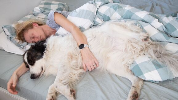 Será que é boa ideia dormir com os patudos? Fique com os prós e contras