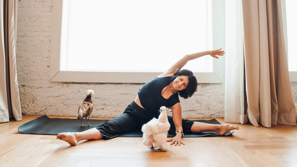 Tapetes, fraldas e penas! Galinhas resgatadas dão nova vida a aulas de ioga na Flórida