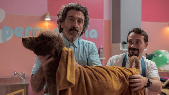 Galinhas, ovelhas e cães de colo! Conheça a nova série da Netflix que está a conquistar os fãs de animais