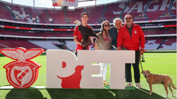 Já conhece o Benfica Pet? Agora, os animais de estimação têm lugar oficial na família encarnada