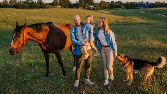 Estudo PetPulse revela: 95% dos tutores em Portugal já consideram os animais membros da família