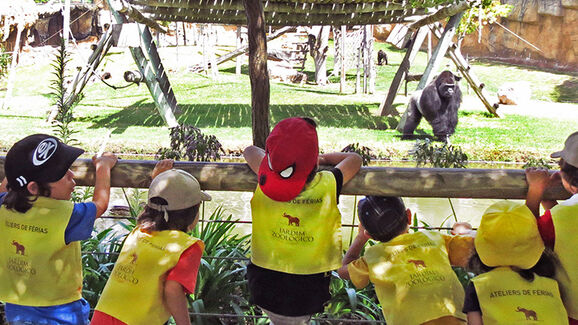 Os miúdos estão quase de férias. E o Zoo de Lisboa tem o plano perfeito para entretê-los