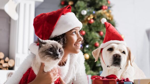 Está à procura de guloseimas natalícias para o seu pet? Temos uma opção saudável e saborosa